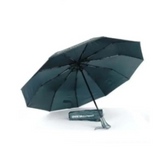 B-M-W Three Folding 10 Ribs UV  Sunny and Rainy Umbrella