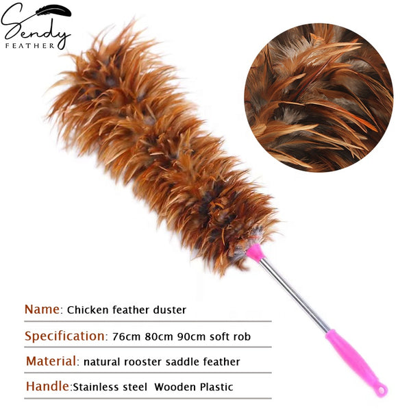 Chicken Feather Duster Care Me