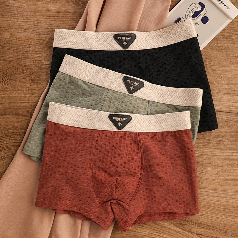 Breathable Antibacterial Ice Silk Underwear (set of 04)
