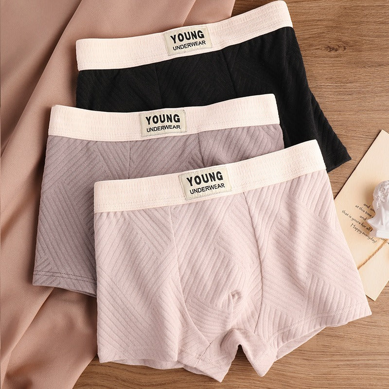 Pure Cotton Textured Mid-Waist Underwear ( set of 04)