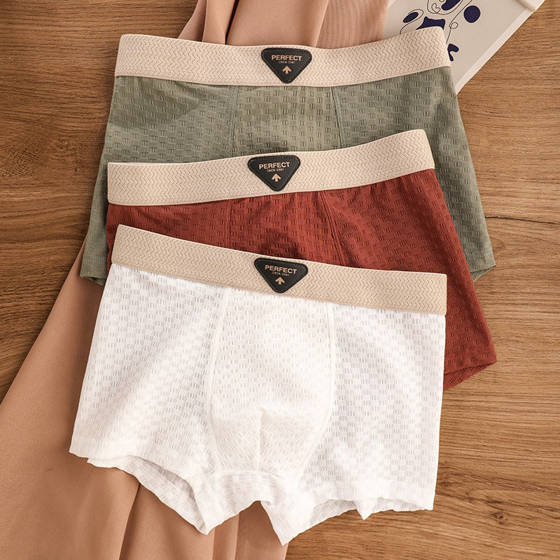 Breathable Antibacterial Ice Silk Underwear (set of 04)