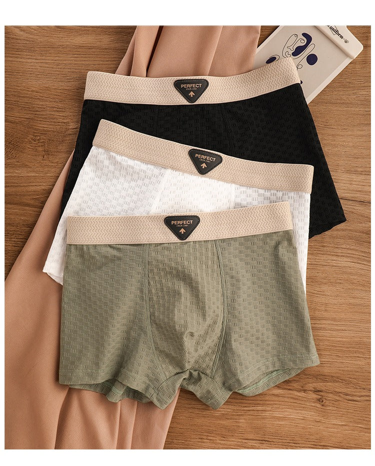Breathable Antibacterial Ice Silk Underwear (set of 04)