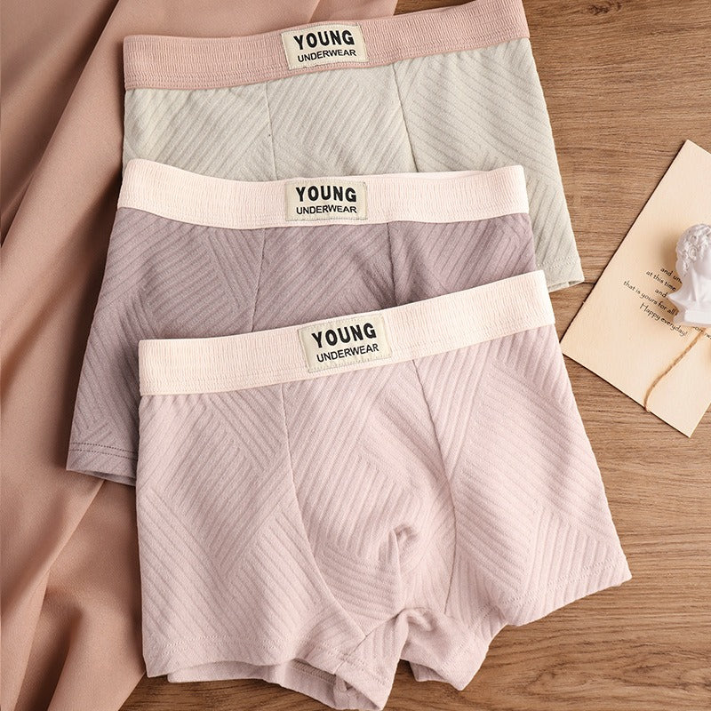 Pure Cotton Textured Mid-Waist Underwear ( set of 04)