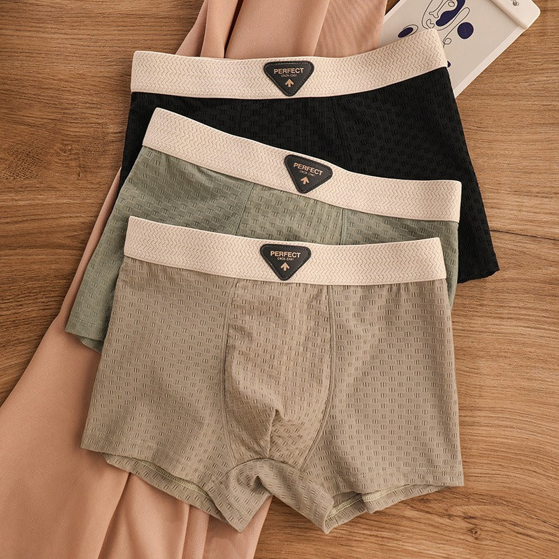 Breathable Antibacterial Ice Silk Underwear (set of 04)