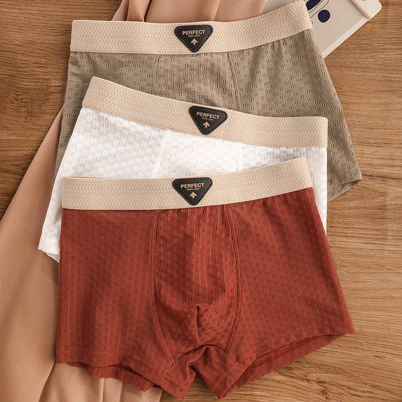 Breathable Antibacterial Ice Silk Underwear (set of 04)