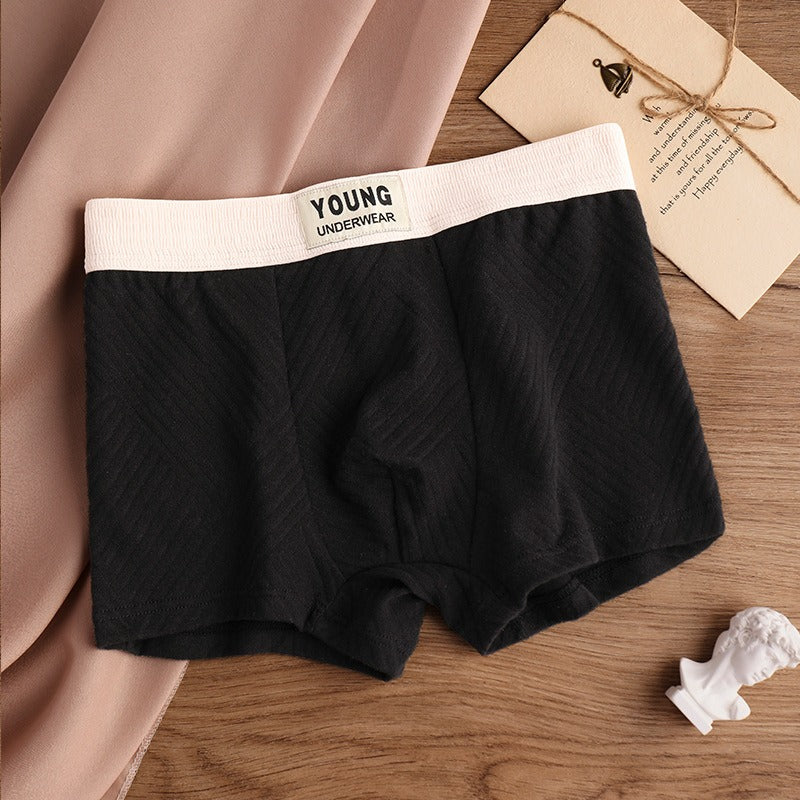 Pure Cotton Textured Mid-Waist Underwear ( set of 04)