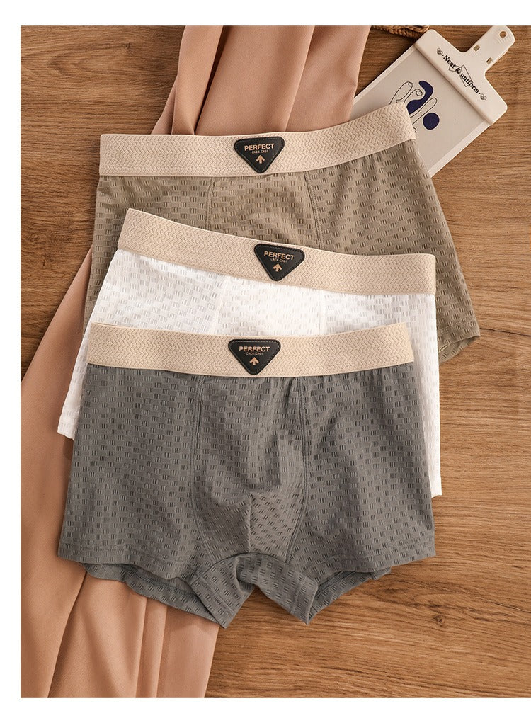 Breathable Antibacterial Ice Silk Underwear (set of 04)