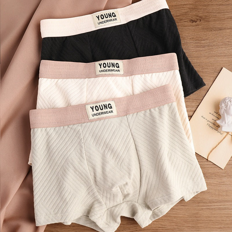 Pure Cotton Textured Mid-Waist Underwear ( set of 04)