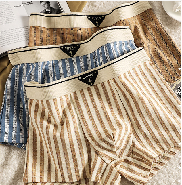 New Striped Soft Cotton Underwear (set of 04)