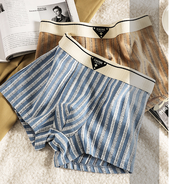 New Striped Soft Cotton Underwear (set of 04)