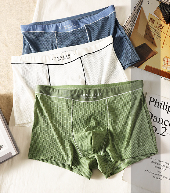 Smooth Ice Silk  Plain Men’s Underwear( set of 04)