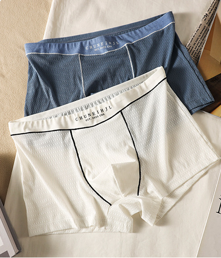 Smooth Ice Silk  Plain Men’s Underwear( set of 04)
