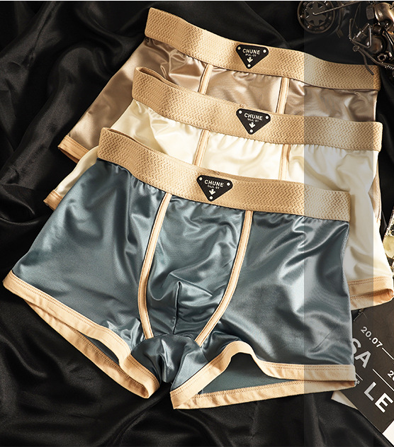 Zero-Friction Solid Ice Silk Underwear( set of 04)