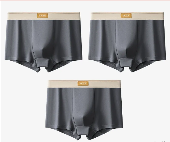 Plus Size Antibacterial Cotton Men's Underwear (4 Pieces)