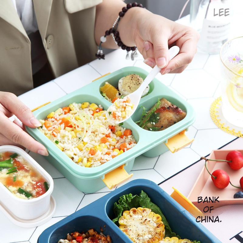 Modern Macaron Style Bento Box