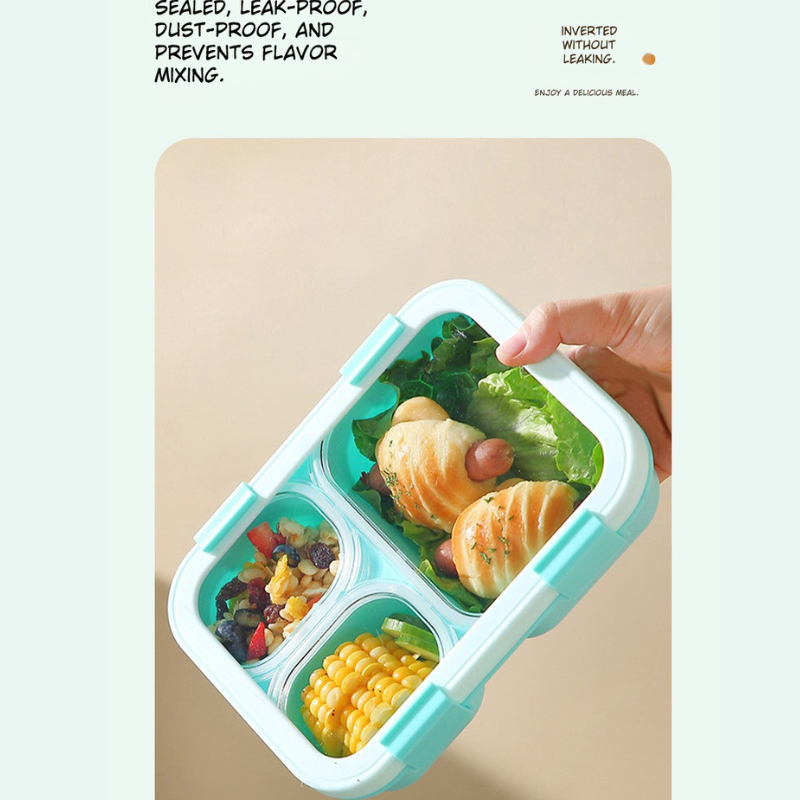 Modern Macaron Style Bento Box