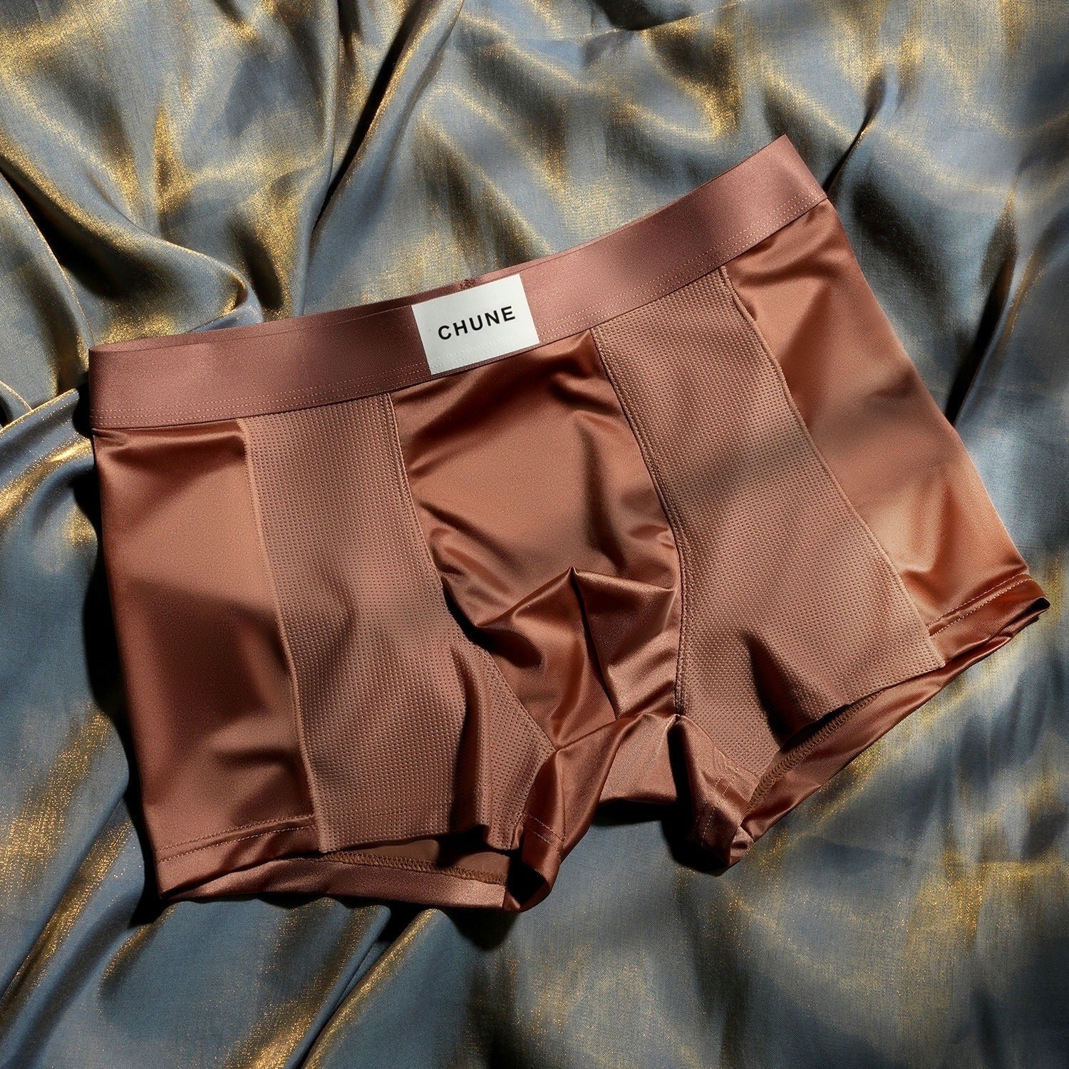 Luxury Mesh Satin Ice Silk Underwear( set of 04)