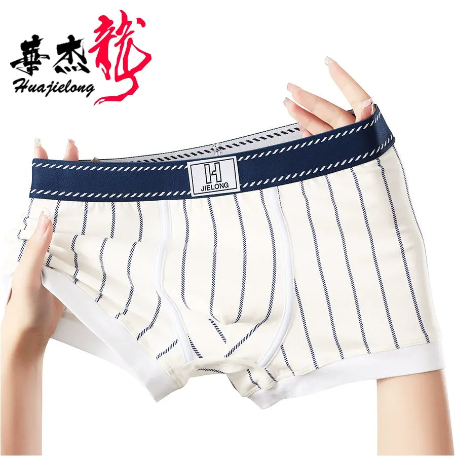 New Striped Cotton Boxer Briefs( Set of 03)