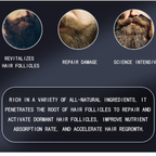Men’s Beard Grooming Oil And Cream