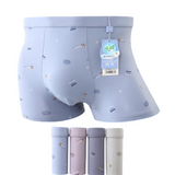 Ice Silk Printed Seamless Antibacterial Underwear (3 Pcs Set)