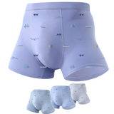 Ice Silk Printed Seamless Antibacterial Underwear (3 Pcs Set)