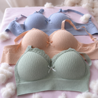 Luxury Wireless Everyday Comfort Bra