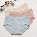 Women’s Seamless Comfort Panty ( Set of 3 )