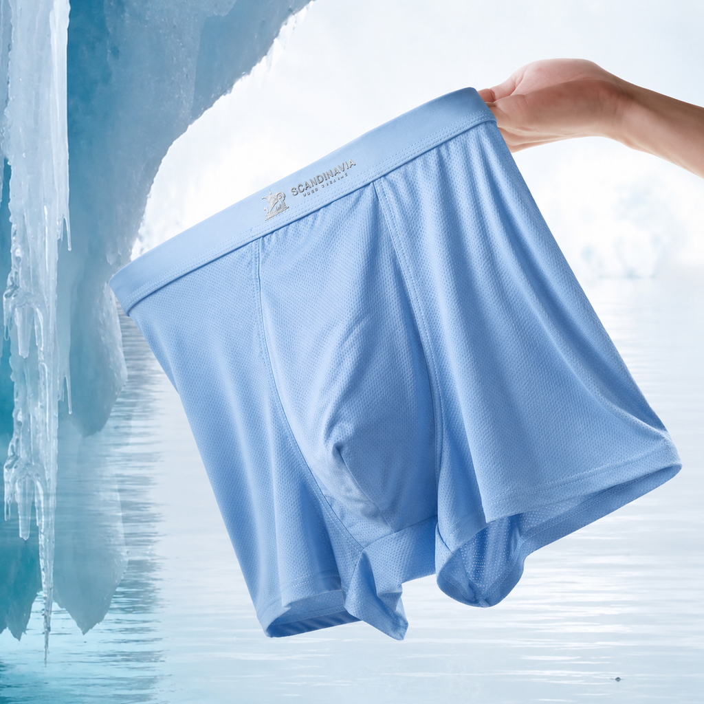 Premium Luxury Ice Silk Comfort Men’s Underwear (Set of 4)