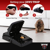 Instant Snap Mouse Trap ( Set of 2 )