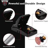 Instant Snap Mouse Trap ( Set of 2 )