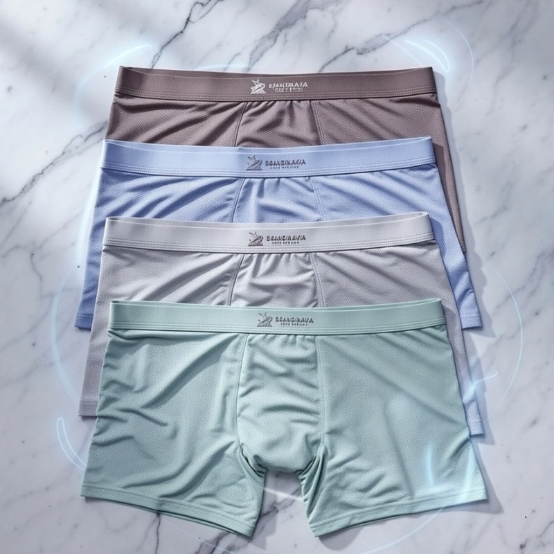 Premium Luxury Ice Silk Comfort Men’s Underwear (Set of 4)