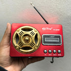 Classic FM Radio with LED Light and Wireless Music Support