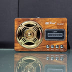 Classic FM Radio with LED Light and Wireless Music Support
