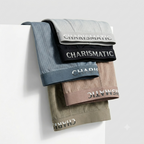 Ice Silk Breathable mesh Underwear ( Set of 5  )