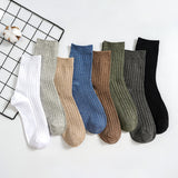 Solid color double needle socks ( Set of 05)