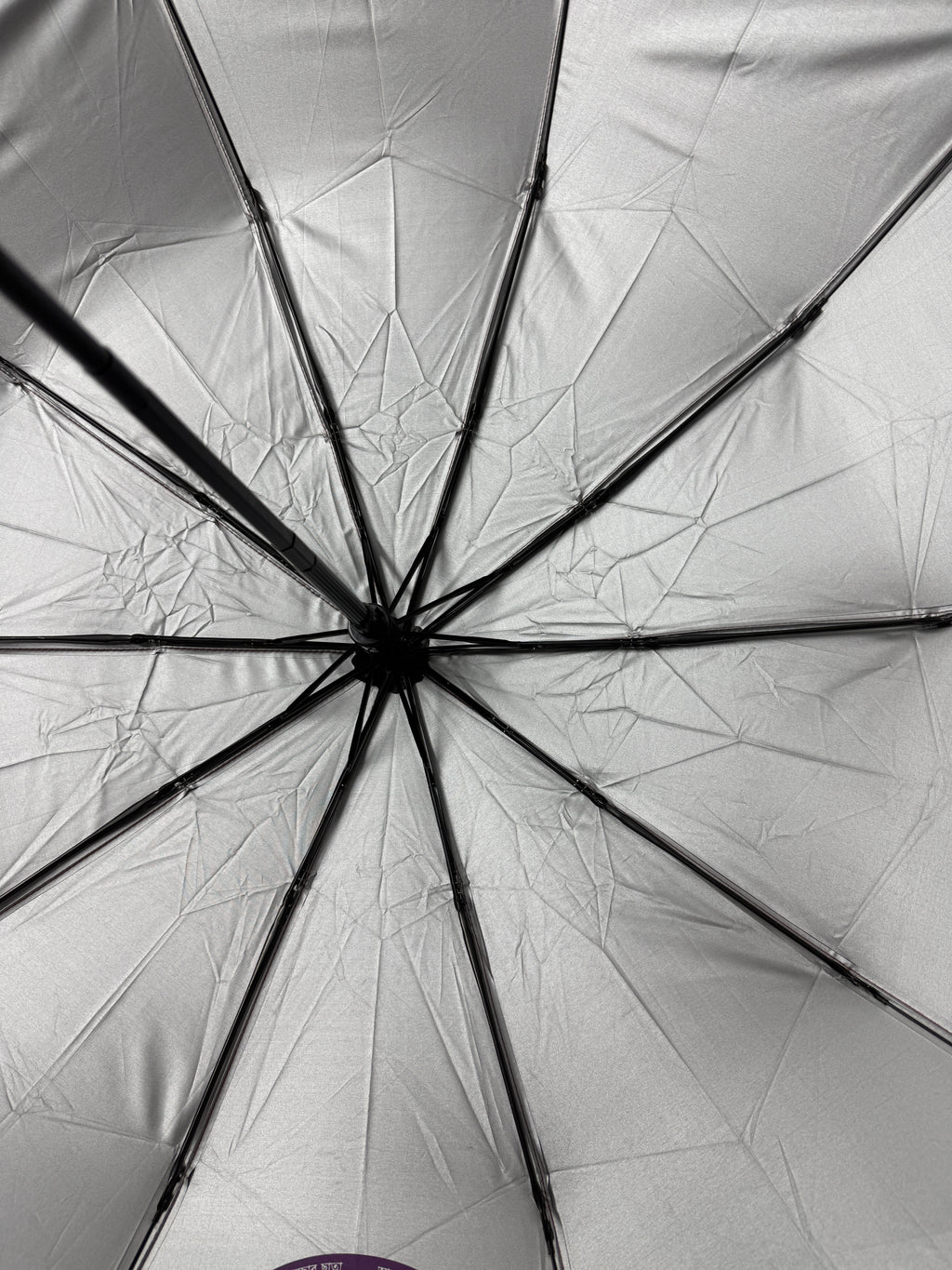 Elegant Floral 10-Ribs Folding Umbrella