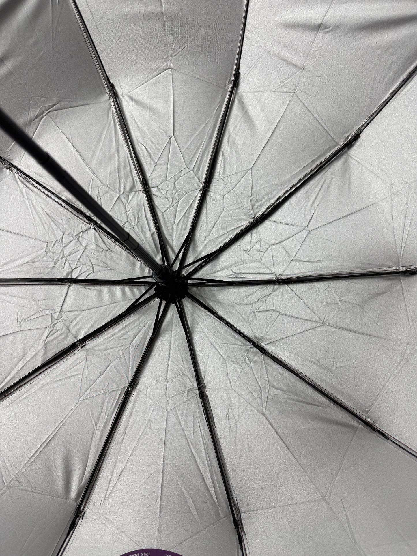 Elegant Floral 10-Ribs Folding Umbrella