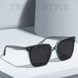 Polarized Large Frame Luxury Sunglass