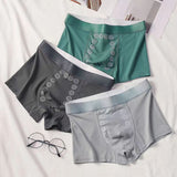 Men's Stretchable Anti-bacterial Underwear (3 pcs )