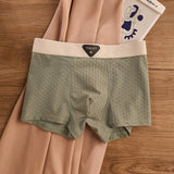 Breathable Antibacterial Ice Silk Underwear (set of 04)