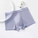 High Quality Ice Silk Seamless Antibacterial Underwear (3 Pcs Set)