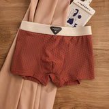 Breathable Antibacterial Ice Silk Underwear (set of 04)