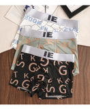 Summer Ice Silk Quick-Dry Men’s Boxers ( set of 04)