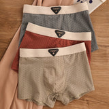 Breathable Antibacterial Ice Silk Underwear (set of 04)
