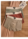 Breathable Antibacterial Ice Silk Underwear (set of 04)