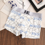 Summer Ice Silk Quick-Dry Men’s Boxers ( set of 04)