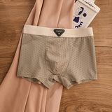Breathable Antibacterial Ice Silk Underwear (set of 04)