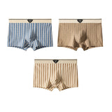 New Striped Soft Cotton Underwear (set of 04)