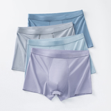 High Quality Ice Silk Seamless Antibacterial Underwear (3 Pcs Set)