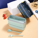 Japanese Style 750ml portable plastic two-layer lunch box